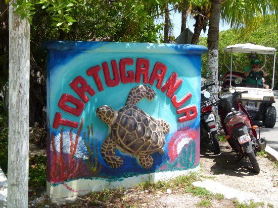 Tortugranja